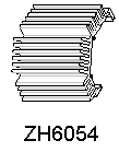 ZH6054