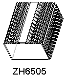 ZH6505